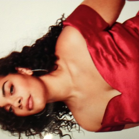 Ruby Red Taffeta Dress Size 14W - Picture 3 of 9